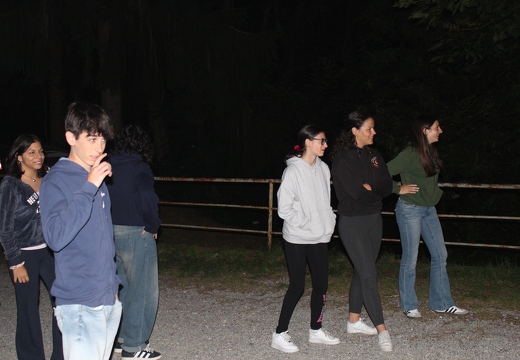 IMG 3222