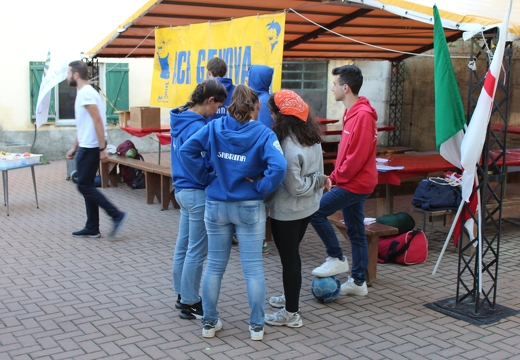 IMG 6223